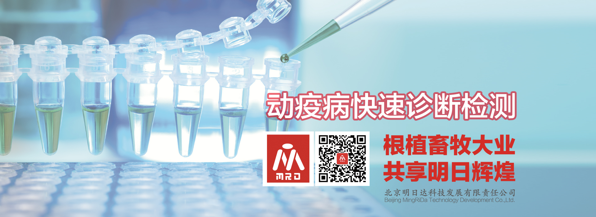 轻量化玻璃瓶生产线专业服务公司